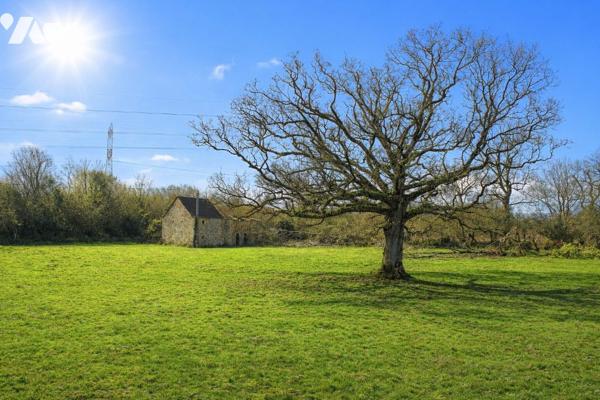 BATIMENT SUR GRAND TERRAIN - BRICQUEBOSCQ