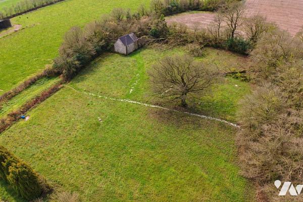 BATIMENT SUR GRAND TERRAIN - BRICQUEBOSCQ