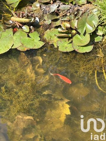 Maison à vendre 10 pièces 340 m² Chantilly