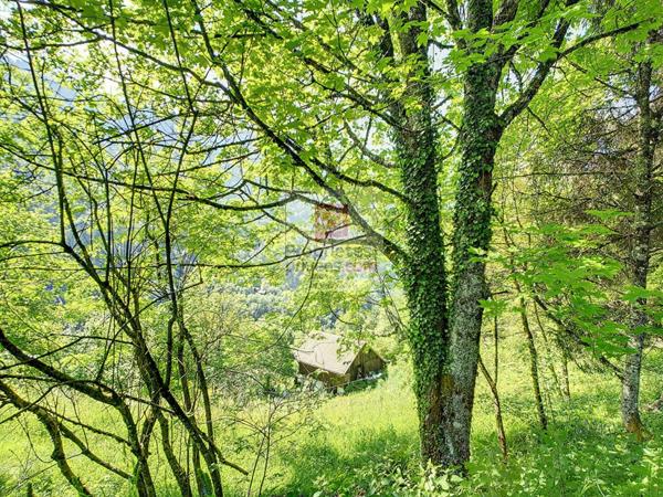 Chalet + maison  à rénover Ugine 11 pièces 190 m2