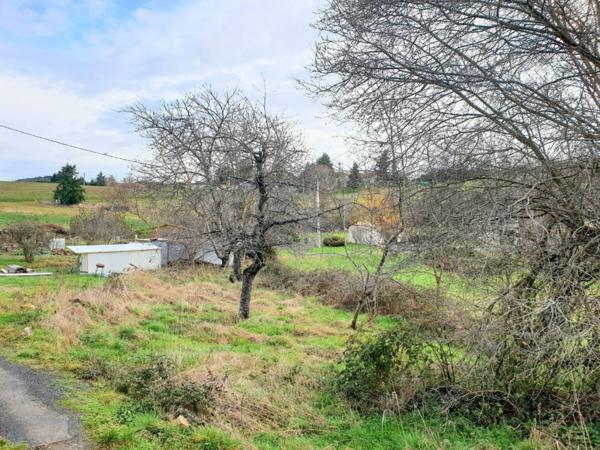 CHARMANTE MAISON DE 90 M2 AVEC NOMBREUSES DEPENDANCES