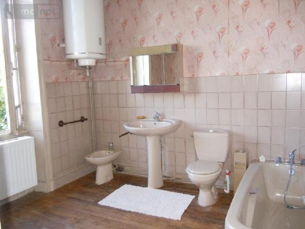 Maison à vendre à Buzançais dans l'Indre (36500), ref : 1003667