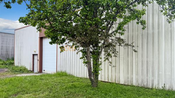 Location
                Appartement27,08 m² - 1 Pièce -
                    CHATEAU LANDON (77570)