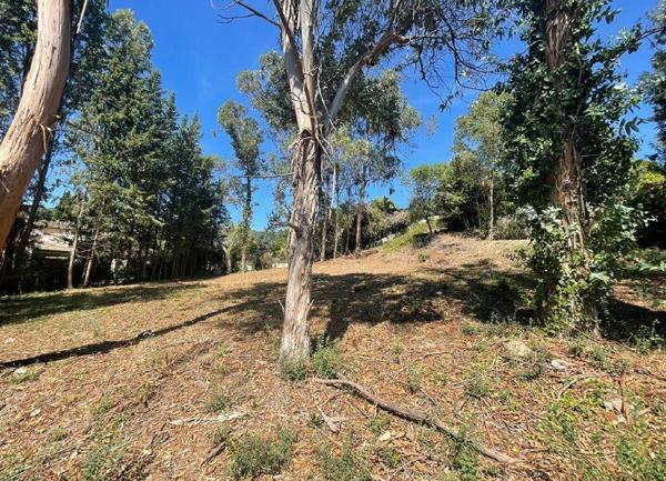 Terrain à vendre    Saint-Paul-de-Vence