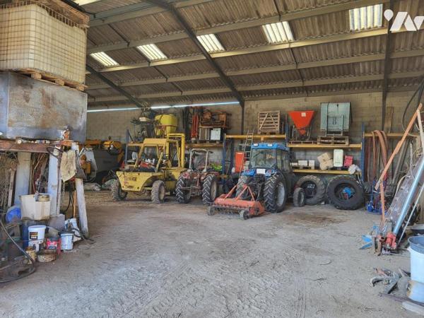 Domaine viticole en bio clé en main 