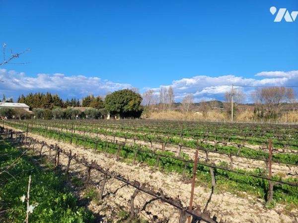 Domaine viticole en bio clé en main 