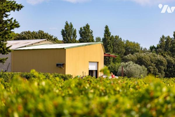 Domaine viticole en bio clé en main 