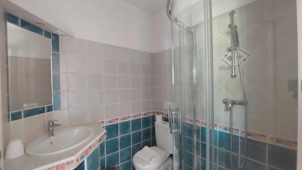 Propriete à vendre 7 pièces SAINT REMY DE PROVENCE (13)