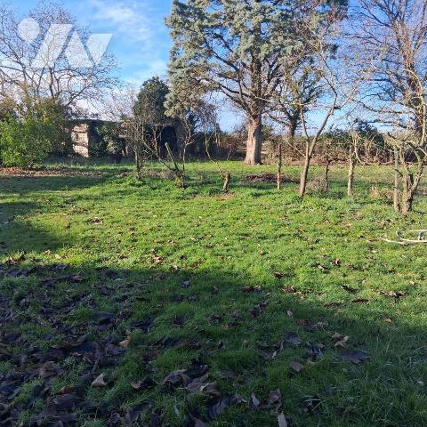 SAINT MATHURIN SUR LOIRE -