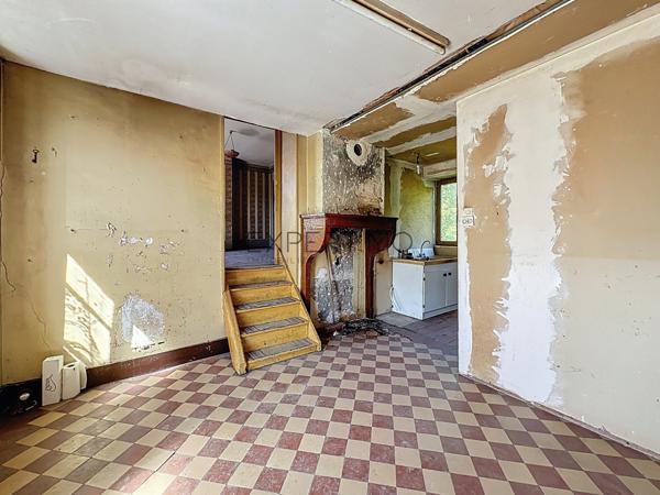 Tournus (71700) Tournus au calme : Deux maisons à rénover + terrain constructible