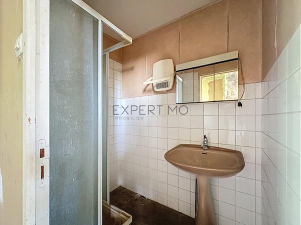 Tournus (71700) Tournus au calme : Deux maisons à rénover + terrain constructible