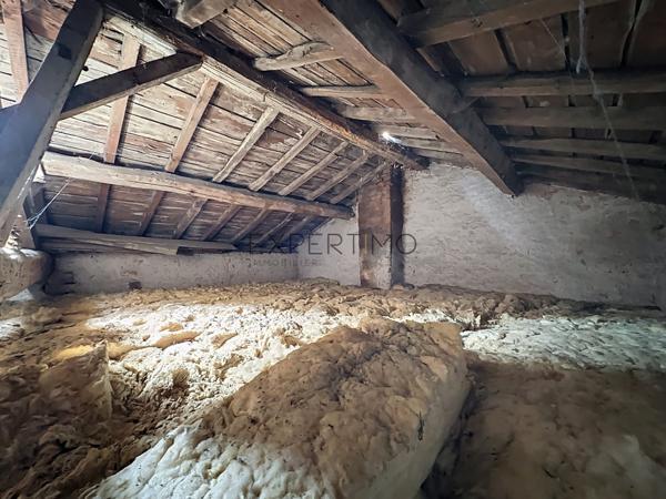 Tournus (71700) Tournus au calme : Deux maisons à rénover + terrain constructible