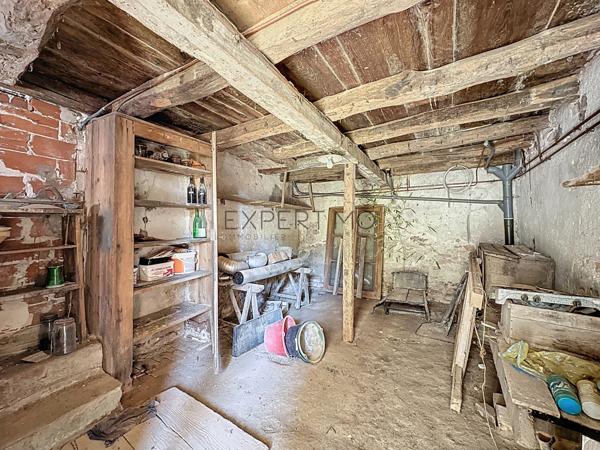 Tournus (71700) Tournus au calme : Deux maisons à rénover + terrain constructible