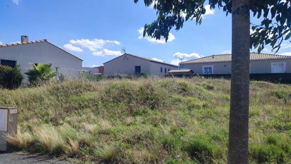 Terrain à vendre PALAJA (11) 499m2