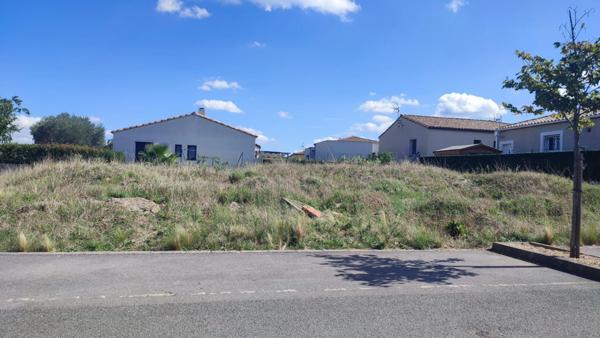 Terrain à vendre PALAJA (11) 499m2