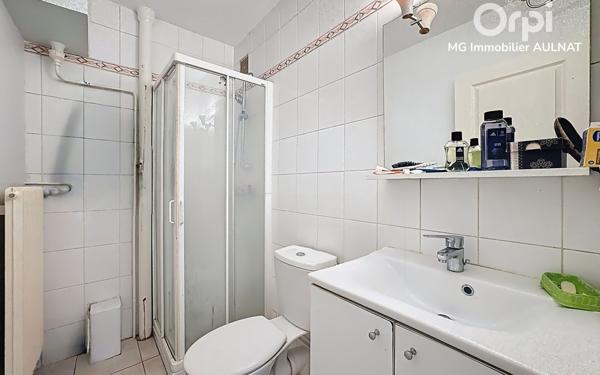 Immeuble à vendre    12 pièces •  Clermont-Ferrand