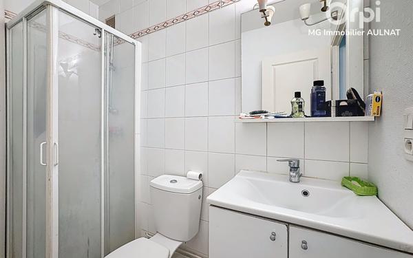 Immeuble à vendre    12 pièces •  Clermont-Ferrand