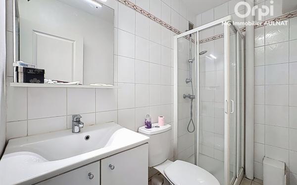 Immeuble à vendre    12 pièces •  Clermont-Ferrand