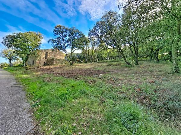 Terrain de 2 329 m² avec ruine à réhabiliter – Dio-et-Valquières
