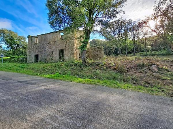 Terrain de 2 329 m² avec ruine à réhabiliter – Dio-et-Valquières
