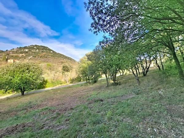 Terrain de 2 329 m² avec ruine à réhabiliter – Dio-et-Valquières