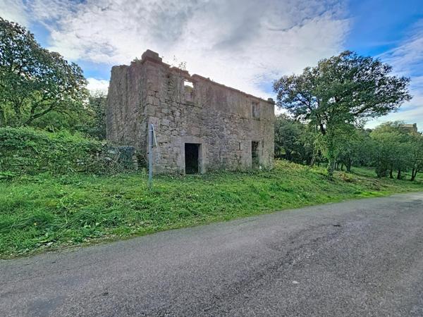 Terrain de 2 329 m² avec ruine à réhabiliter – Dio-et-Valquières