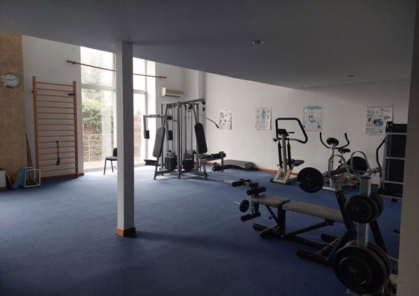 Local professionnel / loft