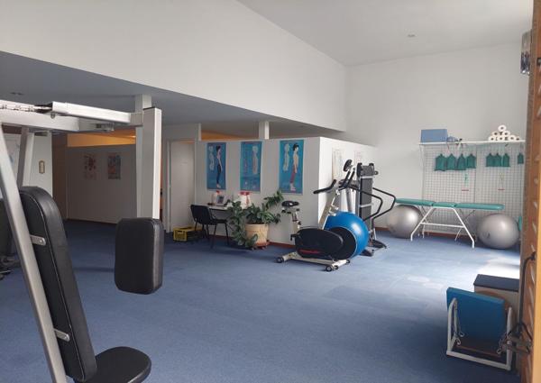 Local professionnel / loft