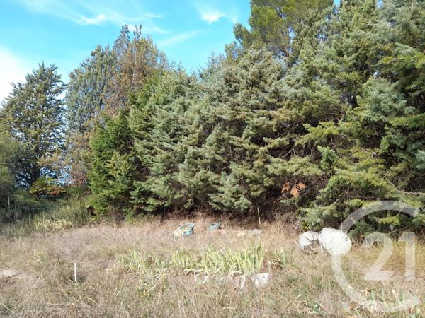 maison à vendre  7 pièces - 130 m2 LIMOUX - 11