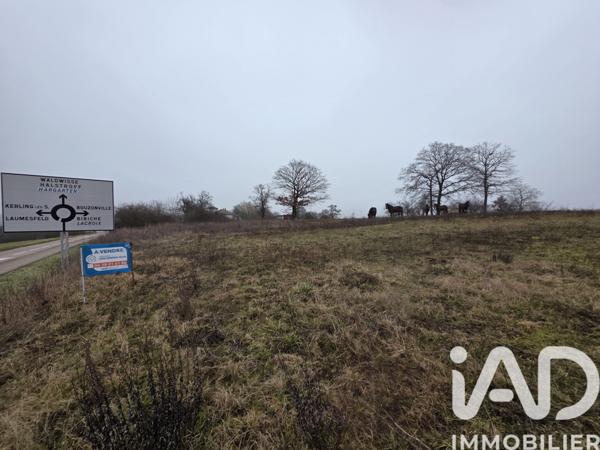 Terrain à vendre 4 187 m² Saint-François-Lacroix