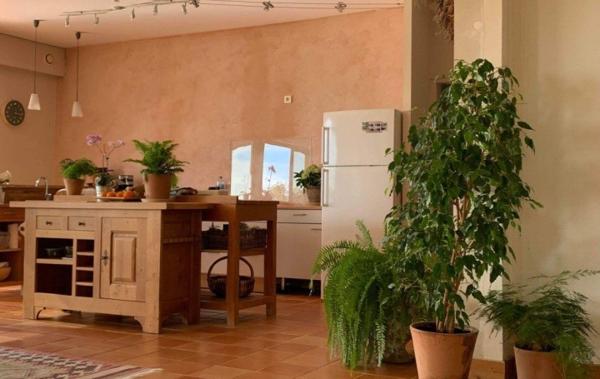 Vente Propriété équestre Cahors   