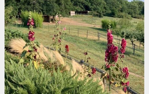 Vente Propriété équestre Cahors   
