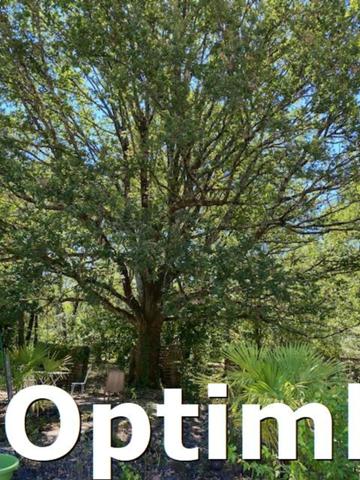 Bien rare dans la métropôle, Propriete de 3 000 m²