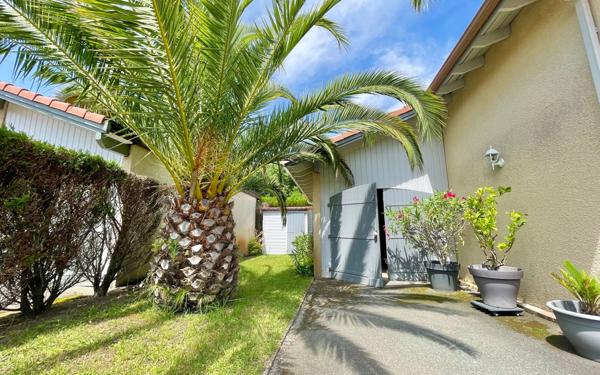 Maison à vendre    4 pièces •  Vieux-Boucau-les-Bains