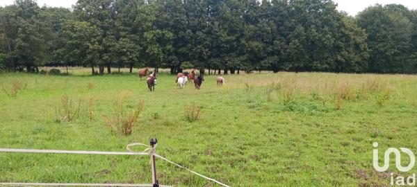 Longère 7 pièces de 207 m² à Les Bordes (89500)