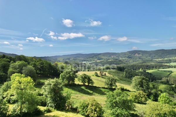 MAISON DE VILLAGE DE 110 M2, TERRAIN DE 3 476 M2, 4 CHAMBRES, DOUBLE GARAGE DE 62 M2, GARAGE, ATELIERS, CAVE VOÛTÉE, TF 251€