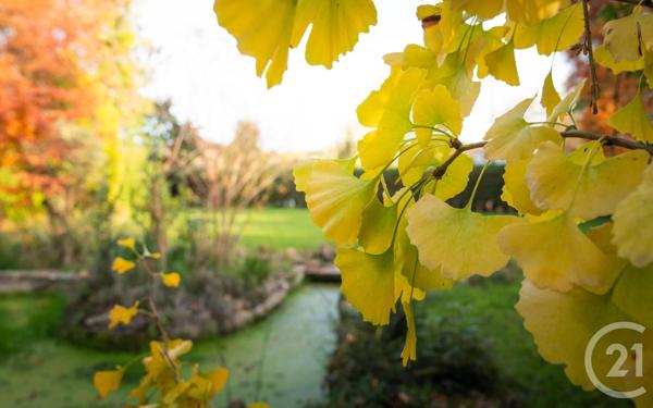 Maison à vendre  7 pièces - 184,15 m2 BAYONNE - 64