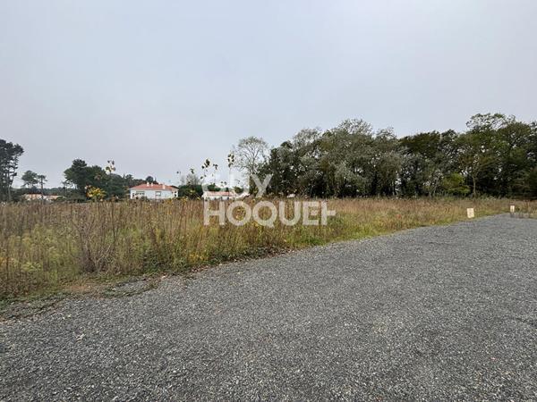 Terrain Orouet viabilisé