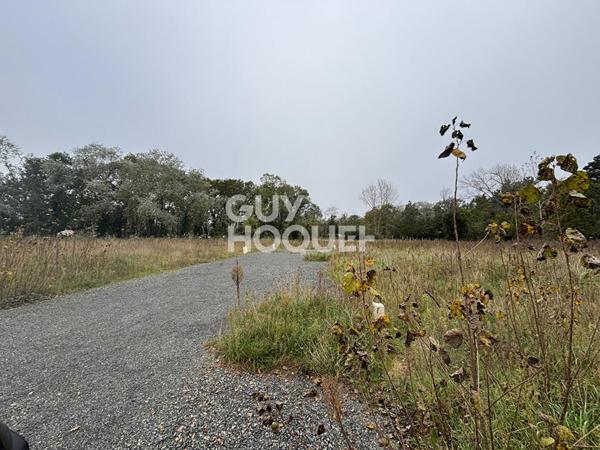 Terrain Orouet viabilisé