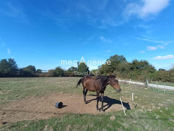 Maison à CHALLANS, 85300 - 7 pièces 281m²