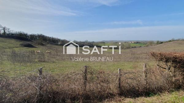 Propriété de charme sur plus de 6 hectares de terrain