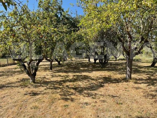 En exclusivité!! Maison traditionnelle à Bessé-sur-Braye sur terrain de 2700 m2