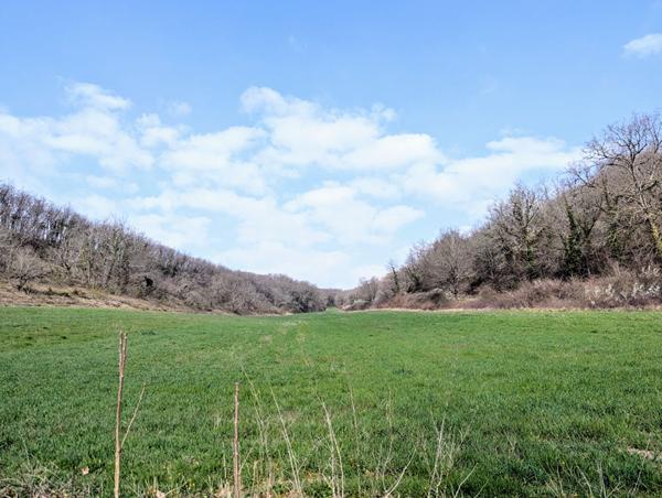 Corps de ferme avec dépendances et environ 22 hectares attenants