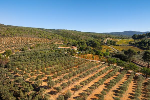 Vente Maison de luxe Le Castellet 20 Pièces 900 m²