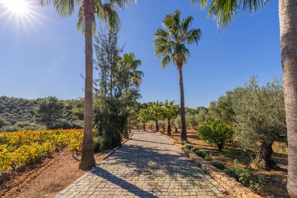 Vente Maison de luxe Le Castellet 20 Pièces 900 m²