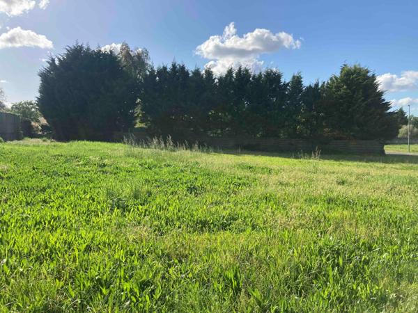 Idéal activité professionnelle