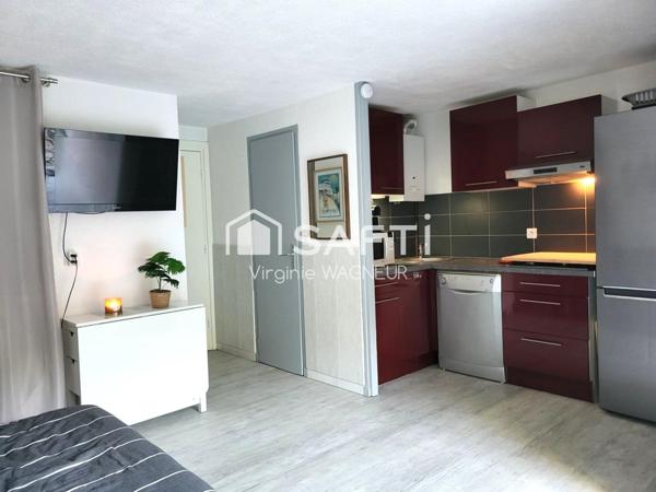 Studio cabine climatisé en rez de jardin avec terrasse