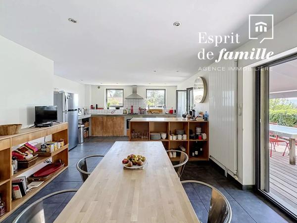 Limonest, loft 270m2 jardin 2000m2