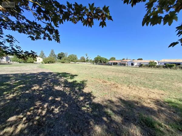 Achat - Terrain à bâtir Les Gonds 17100 2925 m 2