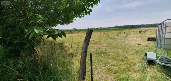 Fermette à vendre à Goudourville dans le Tarn-et-Garonne (82400), ref : 1536